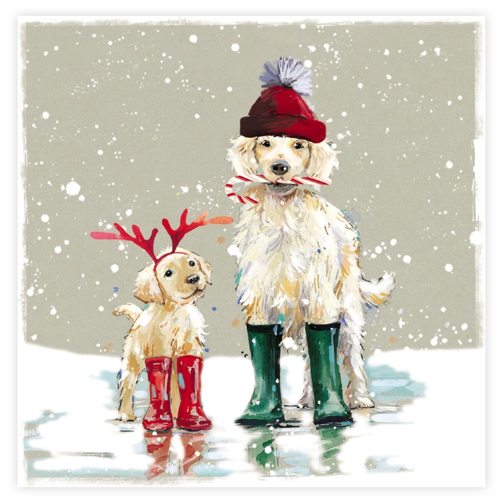 Ling Design Pack of 6 Charity Christmas Cards - Christmas Greeting Cards with Envelopes - Festive Dogs in Wellington Boots in Winter Scene - Supporting UK Charities - 6 of 1 Design