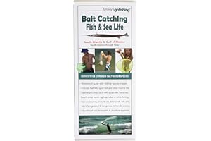 America Go Fishing - Bait Catching Fish and Sea Life Guide - South Atlantic and Gulf of Mexico