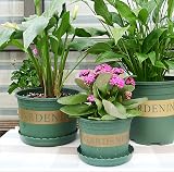 TStarJungle 5 Pack Plant Saucers 40cm High-Edge Drip Trays for Indoor Outdoor view 6