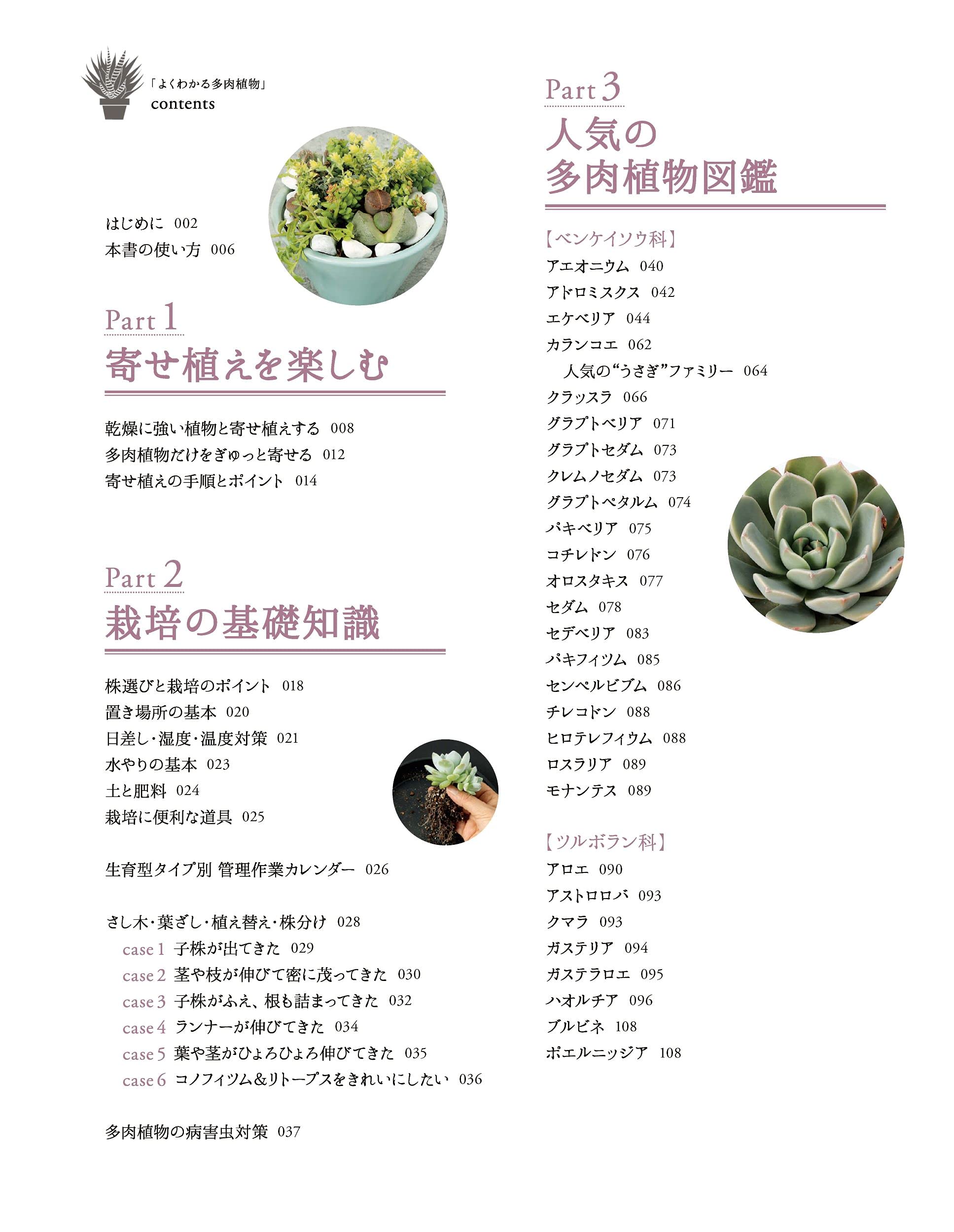 よくわかる多肉植物 寄せ植えの実例 育て方 ふやし方と715種の図鑑 Amazon Co Uk Books