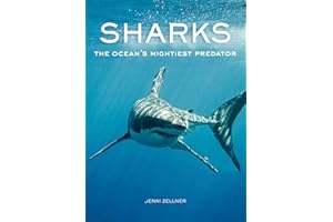 Sharks: The Ocean's Mightiest Predator
