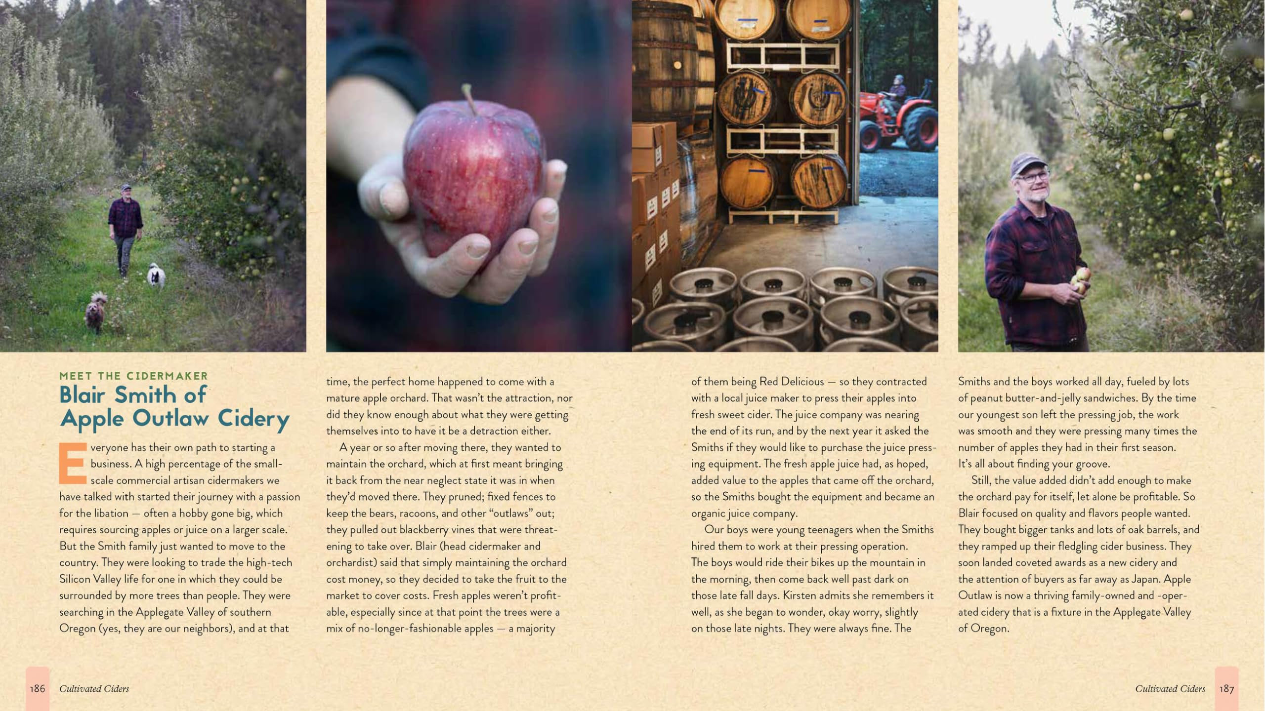 The Big Book of Cidermaking: Expert Techniques for Fermenting and Flavoring Your Favorite Hard Cider
