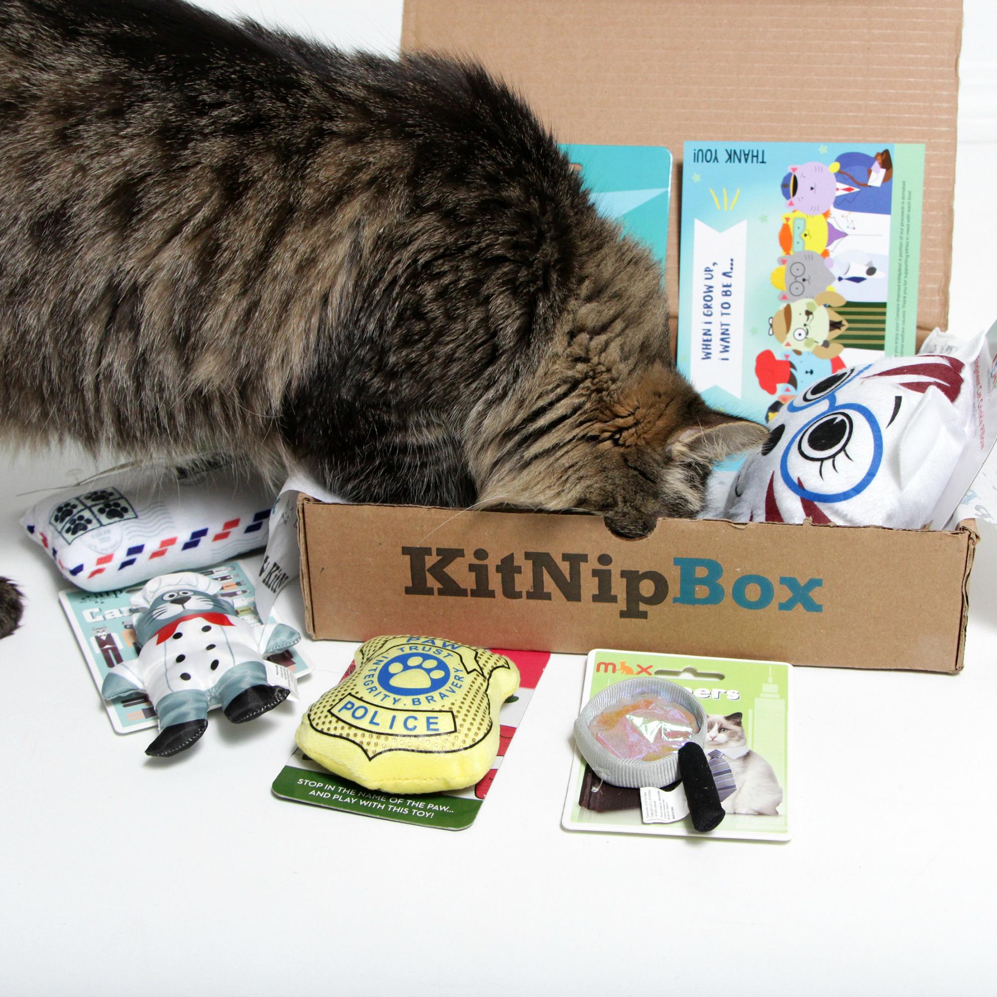 Official KitNipBox | Multi-Cat Box | Monthly Cat Subscription Boxes Filled with Cat Toys, Kitten Toys, Catnip, and Cat Treats