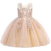 Weileenice Flower Girls Wedding Dress Tulle Little/Girl Lace Bridesmaid Holiday Pageant Party Tutu Dresses