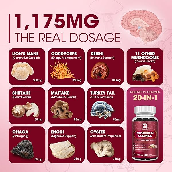 2 PACK MUSHROOM GUMMIES, 20 IN 1 LIONS MANE MUSHROOM COMPLEX SUPPLEMENT WITH REISHI, CHAGA, CORDYCEPS & MORE FOR ADULT, SUPPORT FOR BRAIN, FOCUS & COGNITIVE HEALTH, VEGAN, RASPBERRY FLAVOR, 120CT