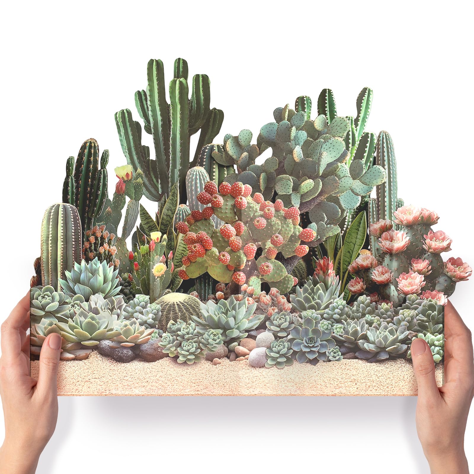 Photo 1 of PINELIFE Desert Plants Pop Up Card, 3D Succulent Card, Birthday, Get Well, Thank You Greeting Cards For Friends and Coworkers with Envelope & Note Card (Desert Garden)