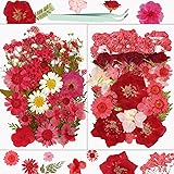 Dried Flowers, Resiners 58Pcs Pressed Flowers for