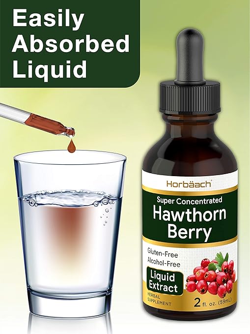 Amazon Com Hawthorn Berry Extract 2 Fl Oz Alcohol Free Hawthorne Liquid Vegetarian Non Gmo Gluten Free By Horbaach Health Personal Care