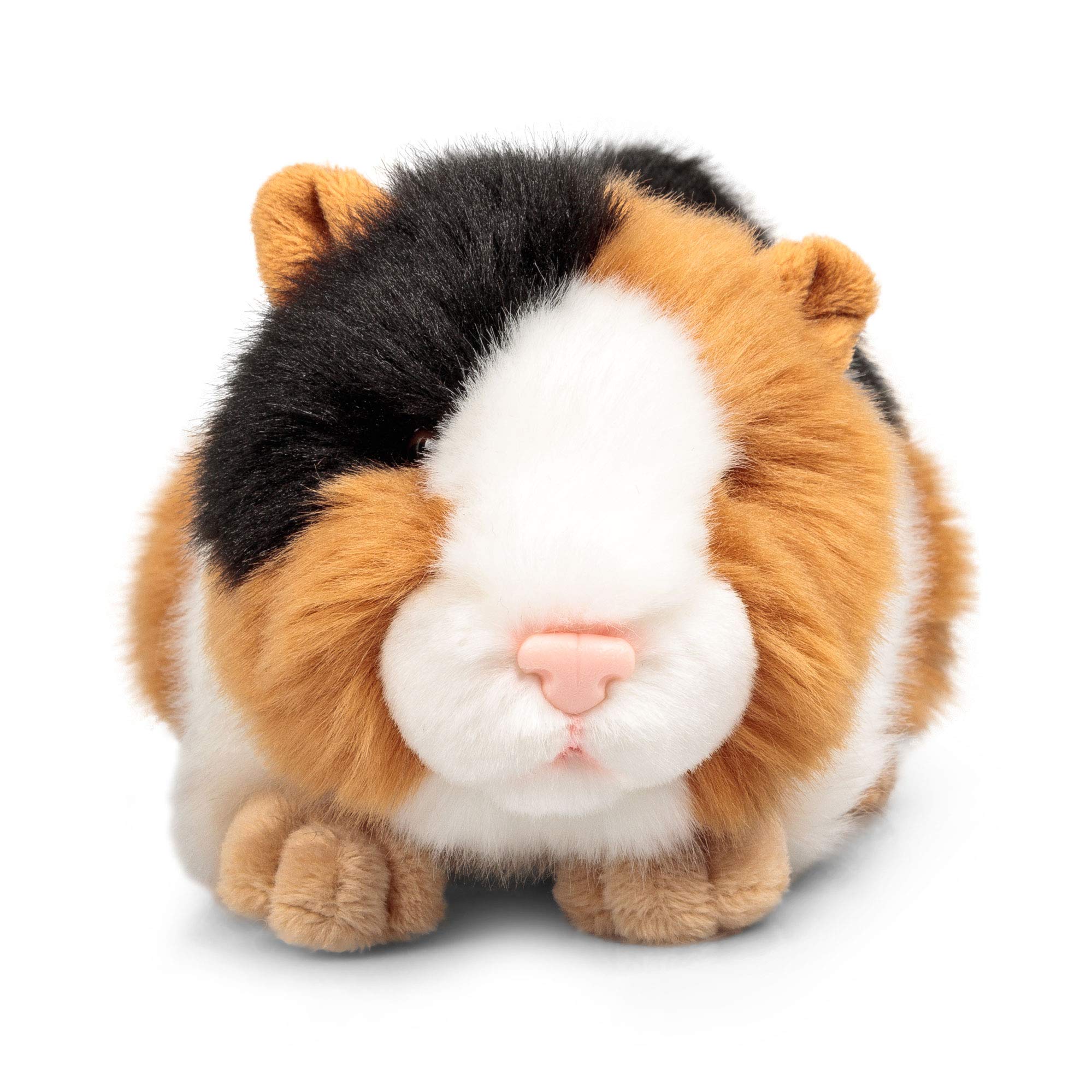 Animigos World of Nature 24cm Plush Guinea Pig Soft Toy