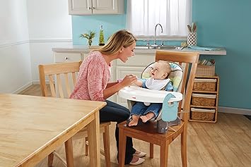 fisher price high chair amazon