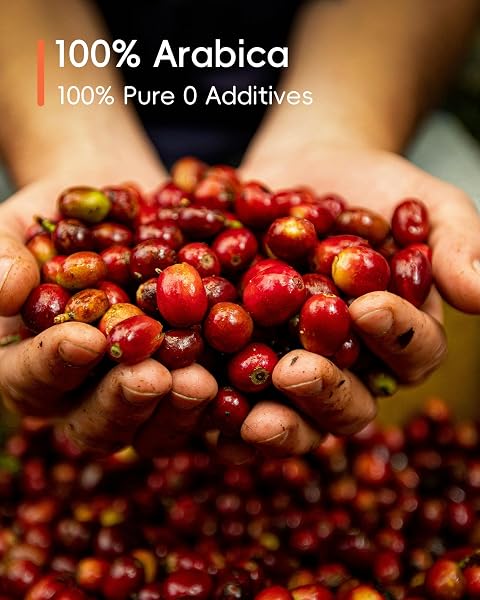 RAMI COFFEE COLD BREW FREEZE DRIED INSTANT COFFEE POWDER, MEDIUM ROAST 100% ARABICA, 6 PORTABLE SINGLE PACKETS FOR HOME TRAVEL BACKPACKING CAMPING
