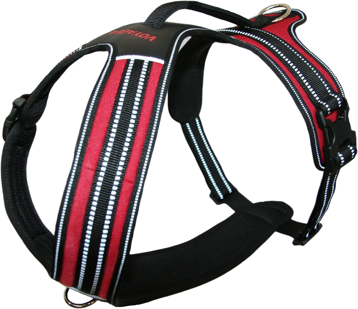 best training harness