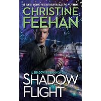 Amazon.com: Shadow Warrior (Shadow Riders Novel): 9781432862091 ...