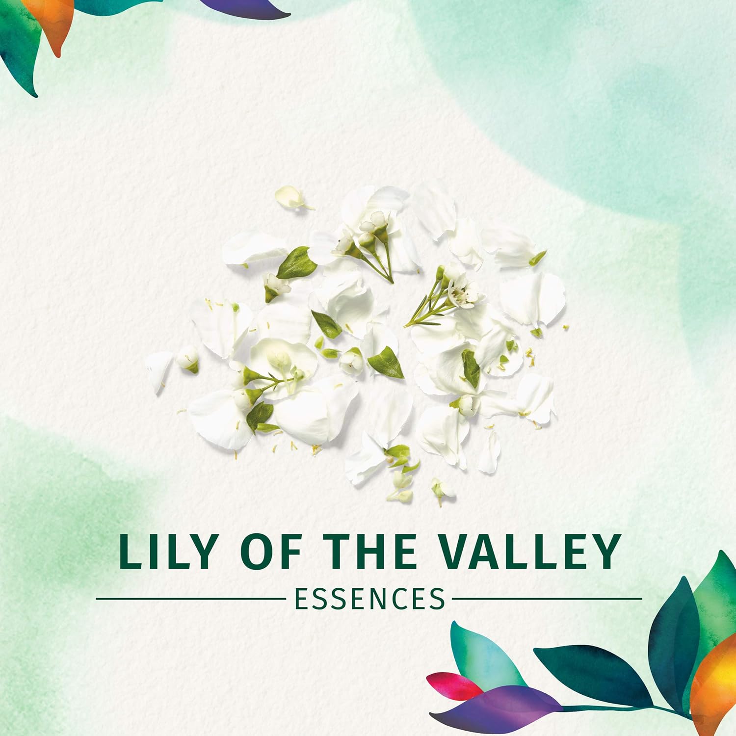 Herbal Essences Set Me Up Spray Gel, 5.7 fl oz (Pack of 3) : Beauty