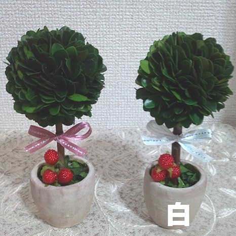 Amazon 観葉植物感覚の枯れない木 プリザーブドグリーン 小さな丸いトピアリー 高さ約15cm 白いリボンと野イチゴ 開店祝 新築祝 移転祝 結婚祝など プリザーブドフラワー オンライン通販