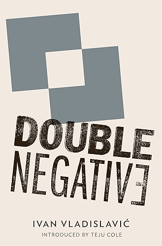Download Double Negative (English Edition) PDF