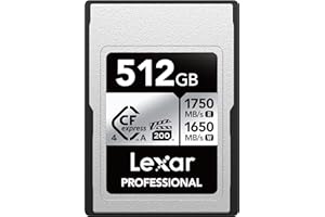 Lexar 512GB Professional CFexpress Type A Silver 4.0 Memory Card, for Photographers, Videographers, Up to max 1750/1650 MB/s,
