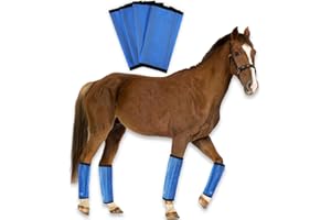 FASTFAST PRODUCTS Mesh Fly Boots for Horses - Breathable Leggings for Comprehensive Leg Protection - Durable, Stylish & Comfortable (Large)