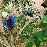 Bosch UniversalChainPole 18 Cordless Pruner 18V with 2.5Ah Battery and Charger view 5