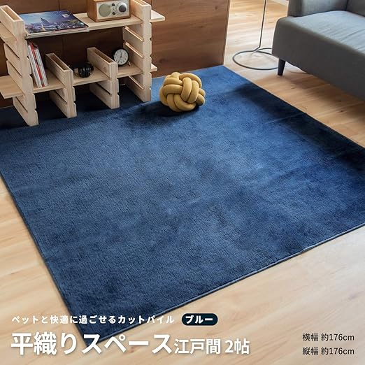 プラグ 定義 チャネル コーナン 絨毯 Ns Jobs Jp