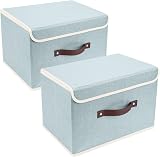 TYEERS Collapsible Storage Box with Lid Aqua Spring 38x25x25 cm Set of 2