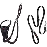 Halti No Pull Harness Size Medium & Halti Training Leash Size Large, Black Combination Pack - Stop Your Dog Pulling on the Le