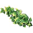 Exo Terra Jungle Plant - Amapallo - Medium