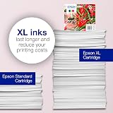 Epson 503 Multipack 4-Color Ink Cartridges C13T09Q64010 view 4