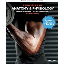 Principles of Anatomy and Physiology, 16e WileyPLUS Card with