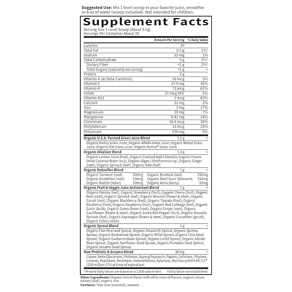 GARDEN OF LIFE RAW ORGANIC PERFECT FOOD ALKALIZER AND DETOXIFIER, LEMON GINGER FLAVORED SUPERFOOD POWDER SUPPLEMENT, 30 SERVINGS