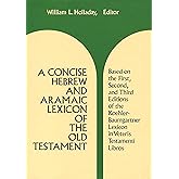 A Concise Hebrew and Aramaic Lexicon of the Old Testament (Eerdmans Language Resources (ELR))