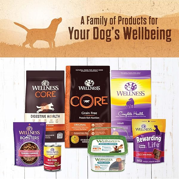 WELLNESS 95% LAMB NATURAL WET GRAIN FREE CANNED DOG FOOD, 13.2-OUNCE CAN (PACK OF 12)