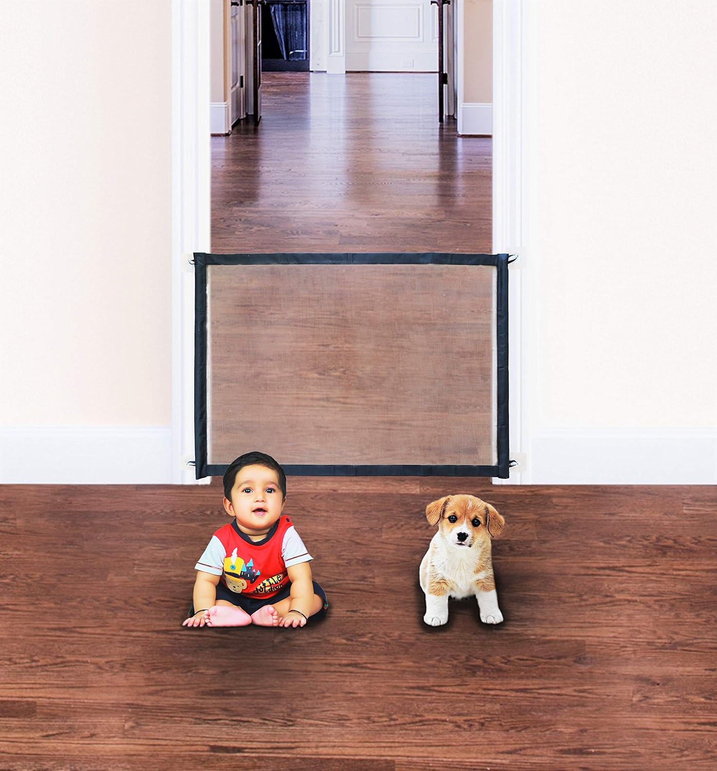 Which Is The Best Cat Ladder Hook