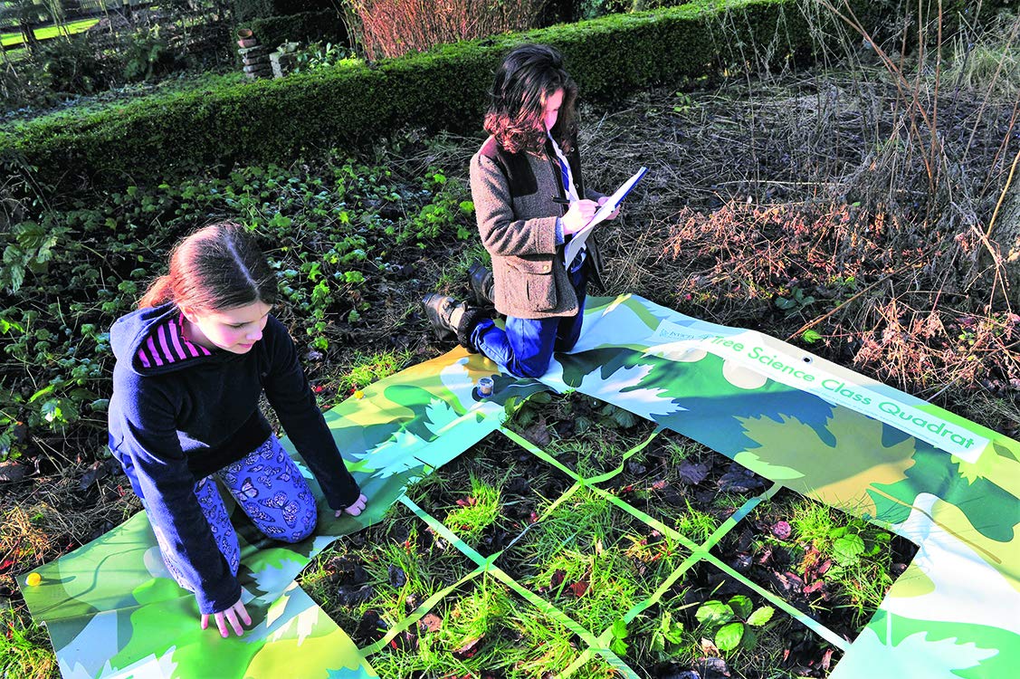 Invicta Education Tree Science Class Quadrat, Camouflage Design