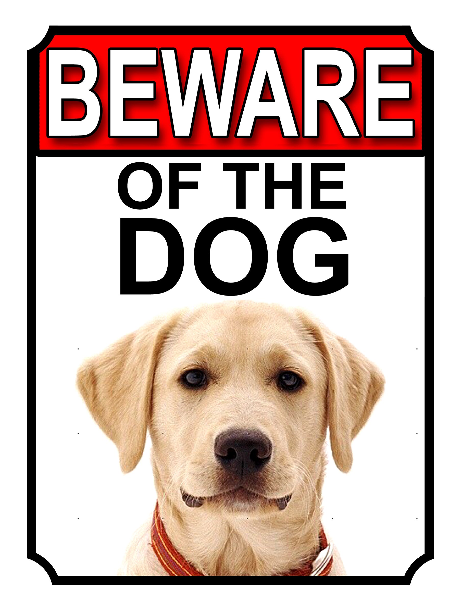 SHAWPRINT BEWARE OF THE DOG METAL GATE SIGN YELLOW LABRADOR 200MM X 150MM (1162H1)