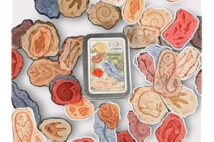 CORACREACRAFTS Vintage Fossils Sticker Tin Box, Aesthetic Animal Stickers for Laptops and Phone Cases, Kindle Stickers, Daily Planner, 40 Stickers for Scrapbooking and Junk Journaling Supplies for DIY Crafts