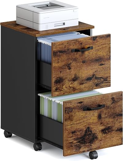 VASAGLE Office Cabinet on Wheels with 2 Drawers Rustic Brown Black