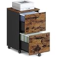 VASAGLE 2-Drawer File Cabinet, Small Rolling Filing Cabinet for Home Office, Printer Stand, for A4, Letter-Size Documents, 15.7 x 16.5 x 27.6 Inches, Rustic Brown and Ink Black UOFC040B01