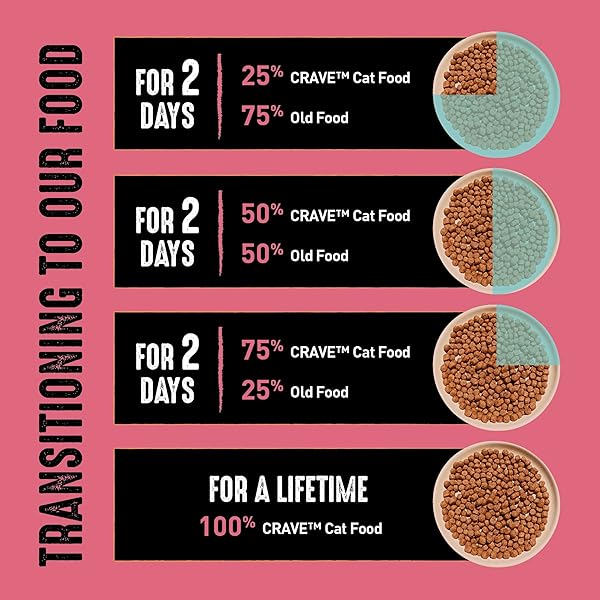 CRAVE GRAIN FREE INDOOR ADULT HIGH PROTEIN NATURAL DRY CAT FOOD WITH PROTEIN FROM CHICKEN & SALMON, 10 LB. BAG