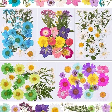 Amazon 144ピース ドライプレスフラワー ナチュラルドライフラワー カラフルな押し花 デイジー 本物のドライフラワー 葉っぱ 花びら Diy キャンドル レジンジュエリー ネイルペンダント クラフト作成 デコレーション用品 Willbond 造花 通販
