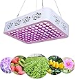 Plant LED Grow Light Full Spectrum 300W, Reflector LED Grow Lamp with Heatproof Casing, for Greenhouse Hydroponic Indoor Plant Growth by Lightimetunnel