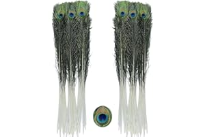 BZTVXMZ Bulk Natural Peacock Feathers-15Pcs 35-40in (90-100 cm),Long Peacock Feathers for Vase Decorations Party Decor and DIY Crafts