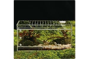 LIZ QNNALY Acrylic Terrarium for Reptiles & Spiders – Small/Medium/Large Leak-Proof Enclosure (Horizontal/Vertical) | Ideal for Tarantulas, Jumping Spiders, Frogs & Geckos(Small Horizontal)