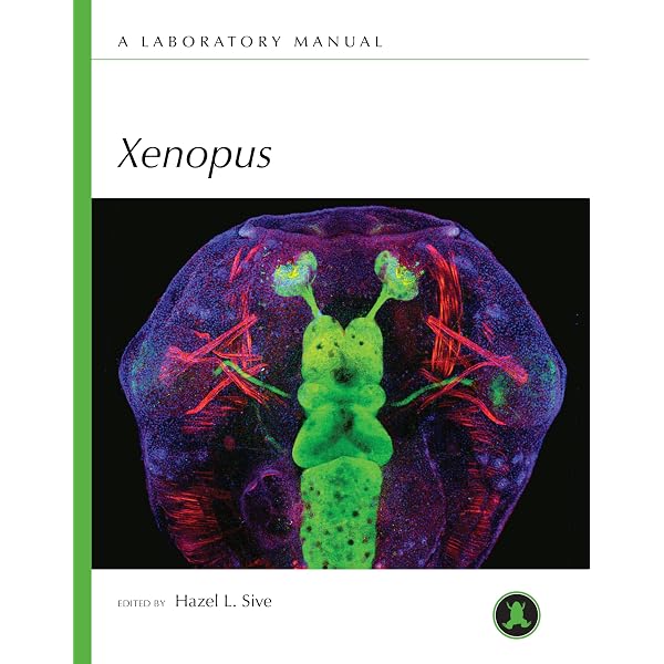 Manipulating the Mouse Embryo: A Laboratory Manual: 9780879695910