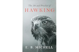 The Art and Practice of Hawking
