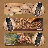 Salubrito Essential Oils Set Wood Fragrance 6 Pack Forest Pine Sandalwood view 4
