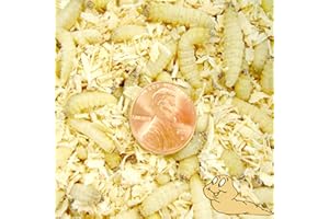 BASSETT'S CRICKET RANCH 250ct Live Waxworms, Pet Food, Fishing