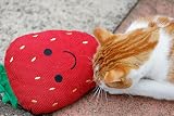 Petface Strawberry Plush Cat Toy with Natural Catnip Soft Plush Kittens view 5