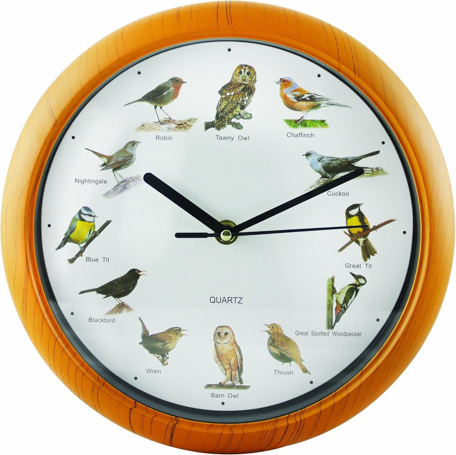 Singend Vogel Uhr Amazon.de Spielzeug