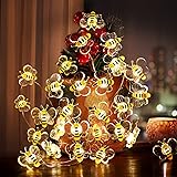 Coquimbo Bee Lights Room Decor, 10ft 30 LED Cute